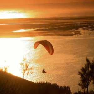 ᐃ Yelloh! Village PANORAMA DU PYLA **** : Camping Frankrijk bekken van Arcachon